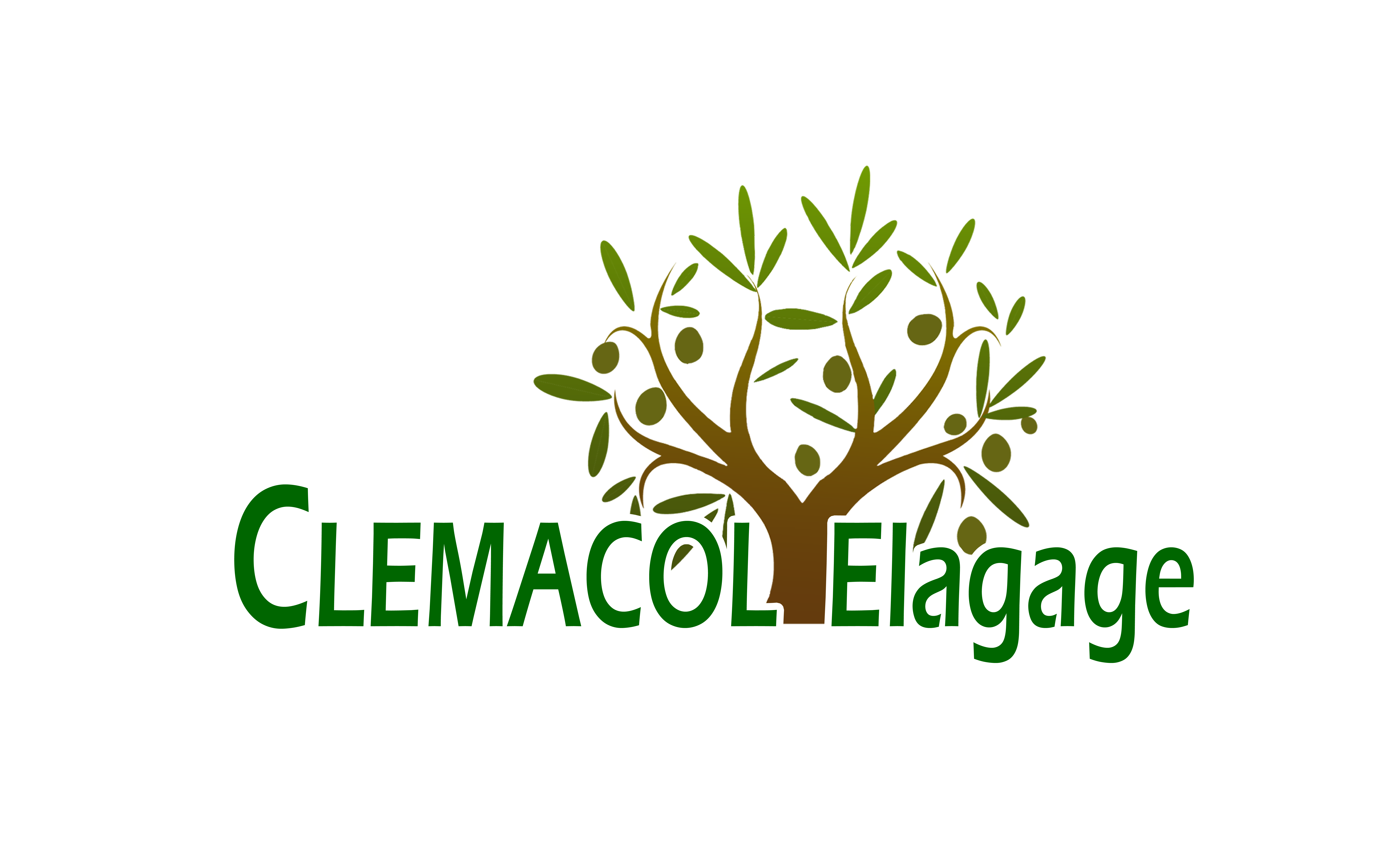logo clemacolelagage
